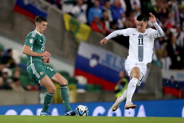 斯洛文尼亚队在欧预赛中全力以赴