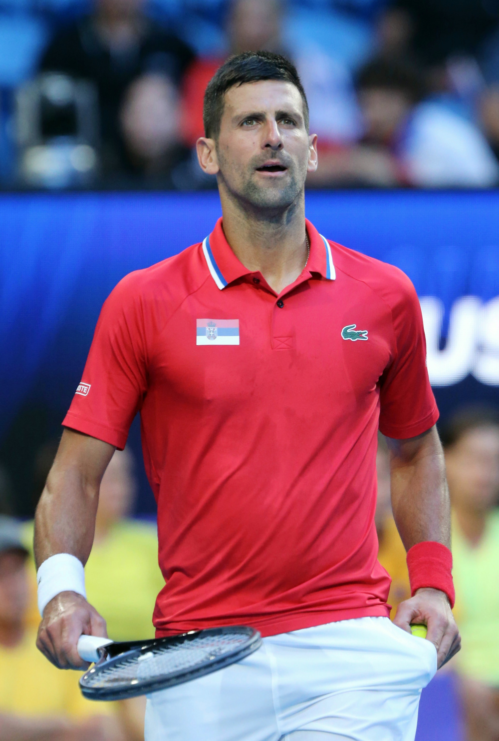 关于塞尔维亚队胜出，晋级四分之一决赛的信息